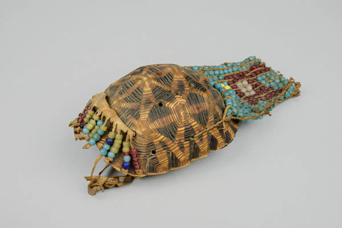 Schildkrötenpanzerbehälter