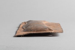 Reliefplatte: Wels
