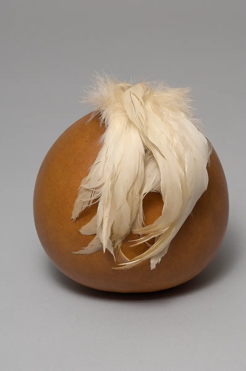 Calabash gourd