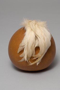 Calabash gourd