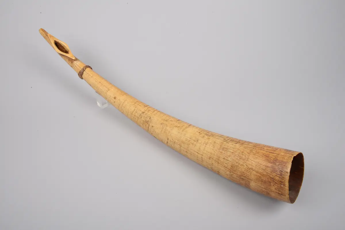 Musikhorn