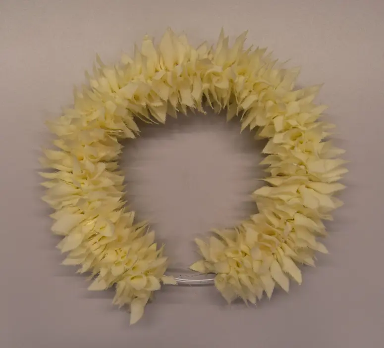 Kopfschmuck