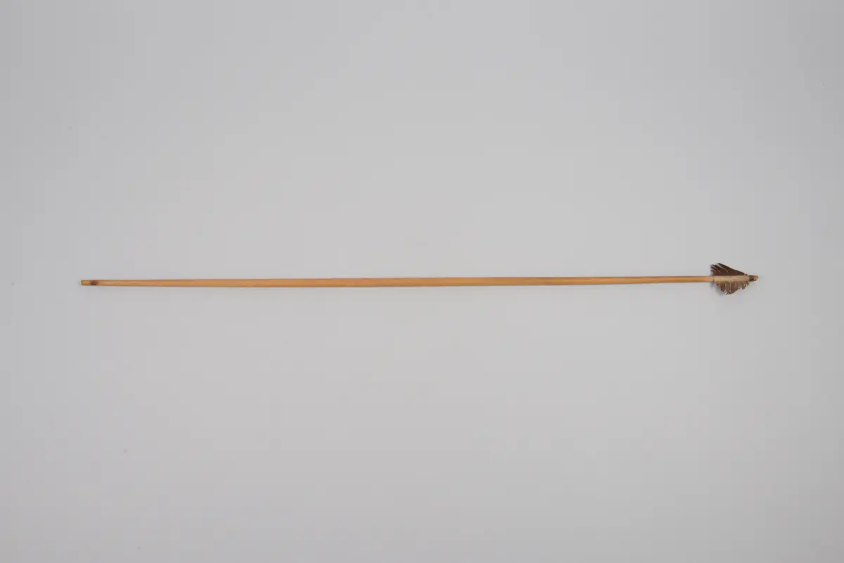 Arrow