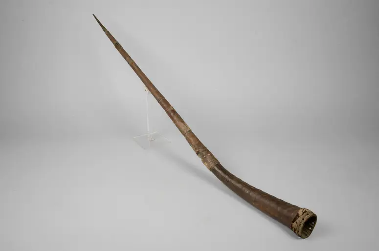 Horn