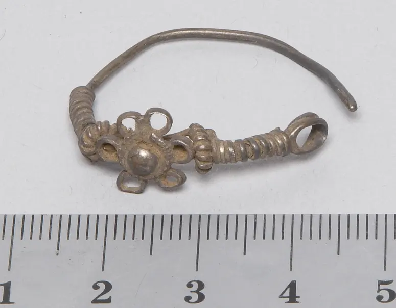 Ohrschmuck