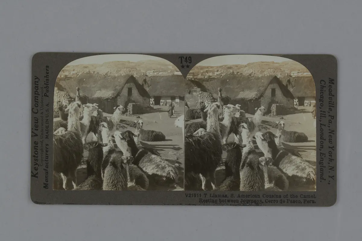 Stereofotografie, sepia