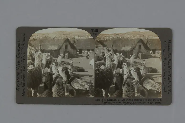 Stereofotografie, sepia