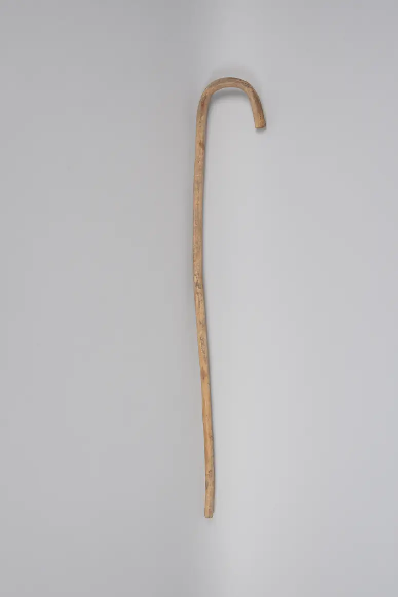 Spazierstock