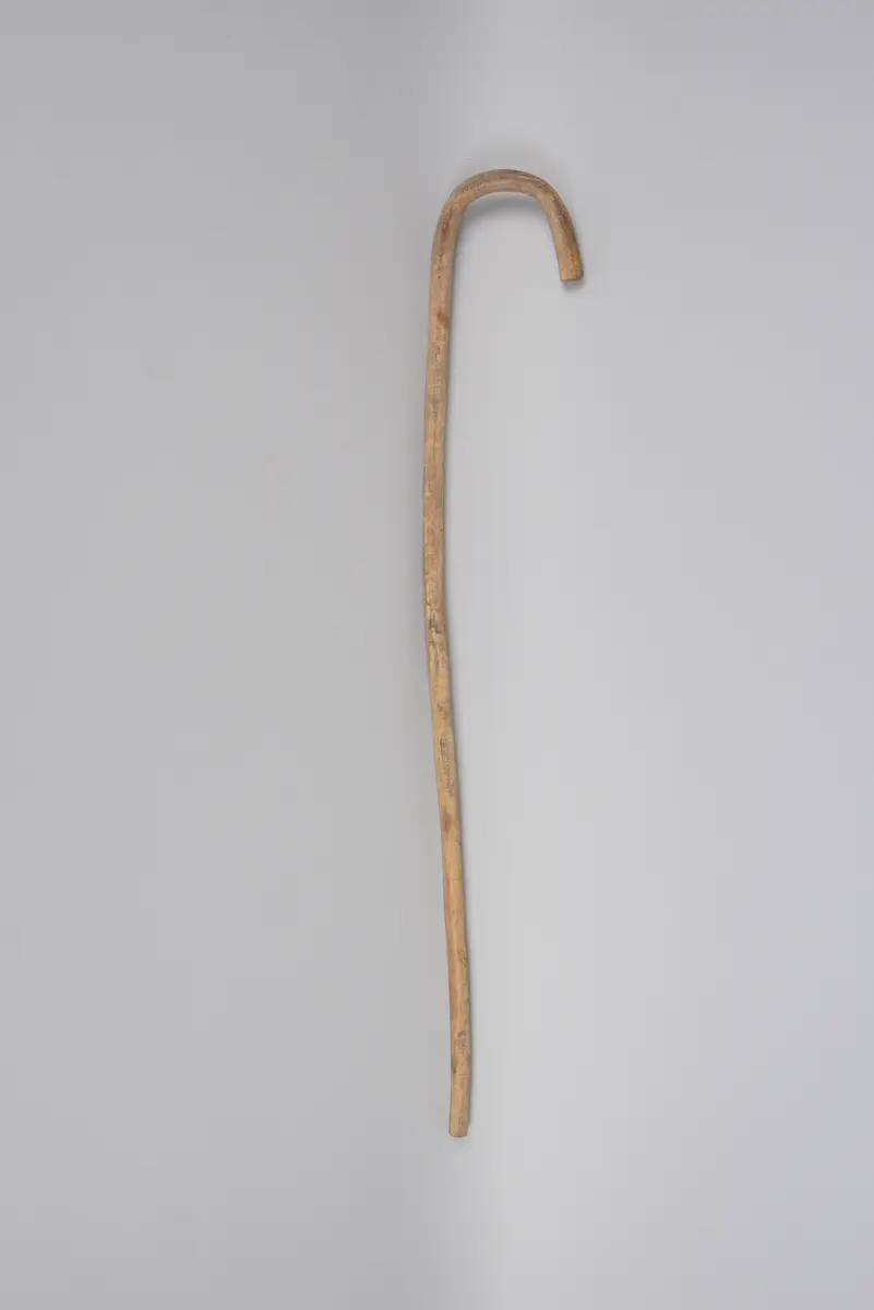 Spazierstock