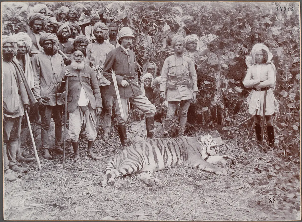 Siriska, Erzherzog Franz Ferdinand u.der erste Tiger. 24.II.1893