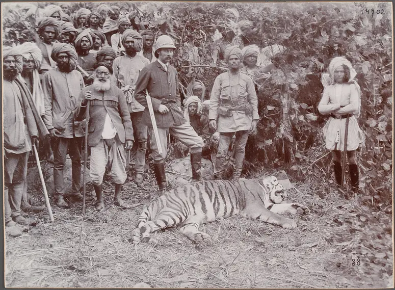 Siriska, Erzherzog Franz Ferdinand u.der erste Tiger. 24.II.1893