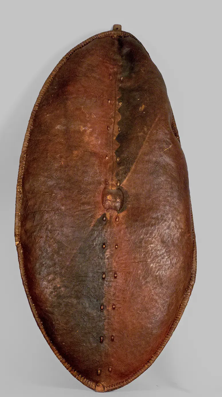 Shield