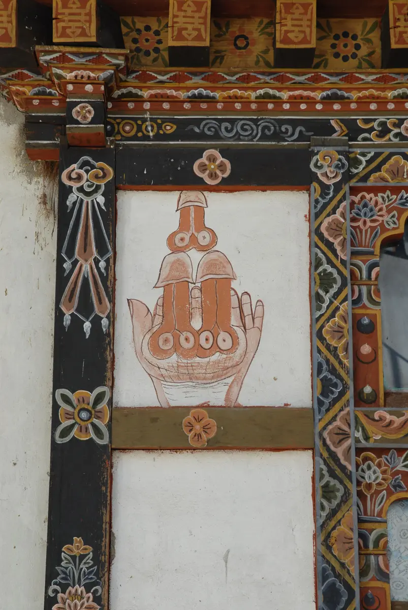 Phallus