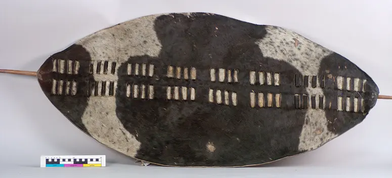 Shield