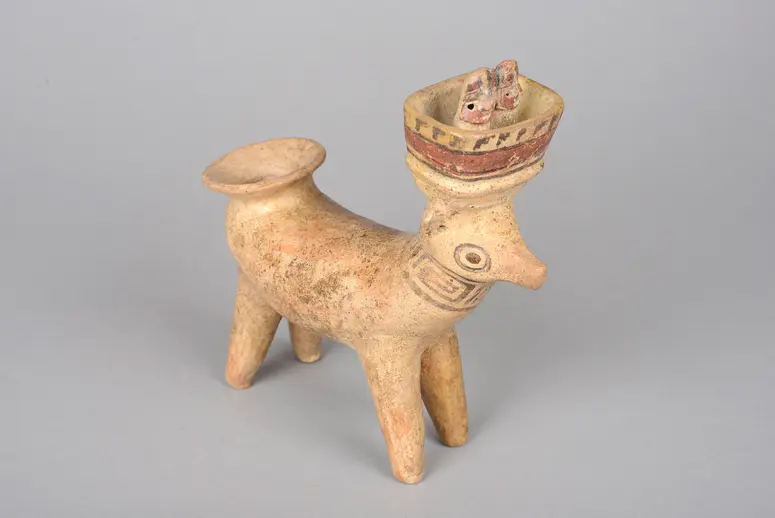 Llama Vessel