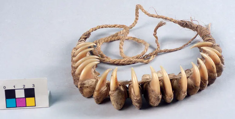 Stirnschmuck