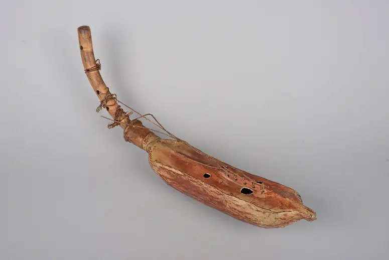 Instrument: Guitar