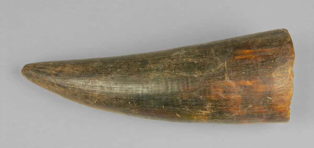 Trinkhorn