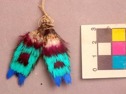 Ohrschmuck