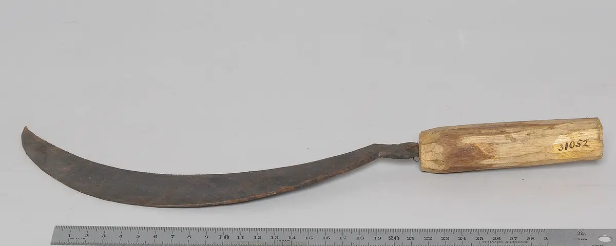 Sichel
