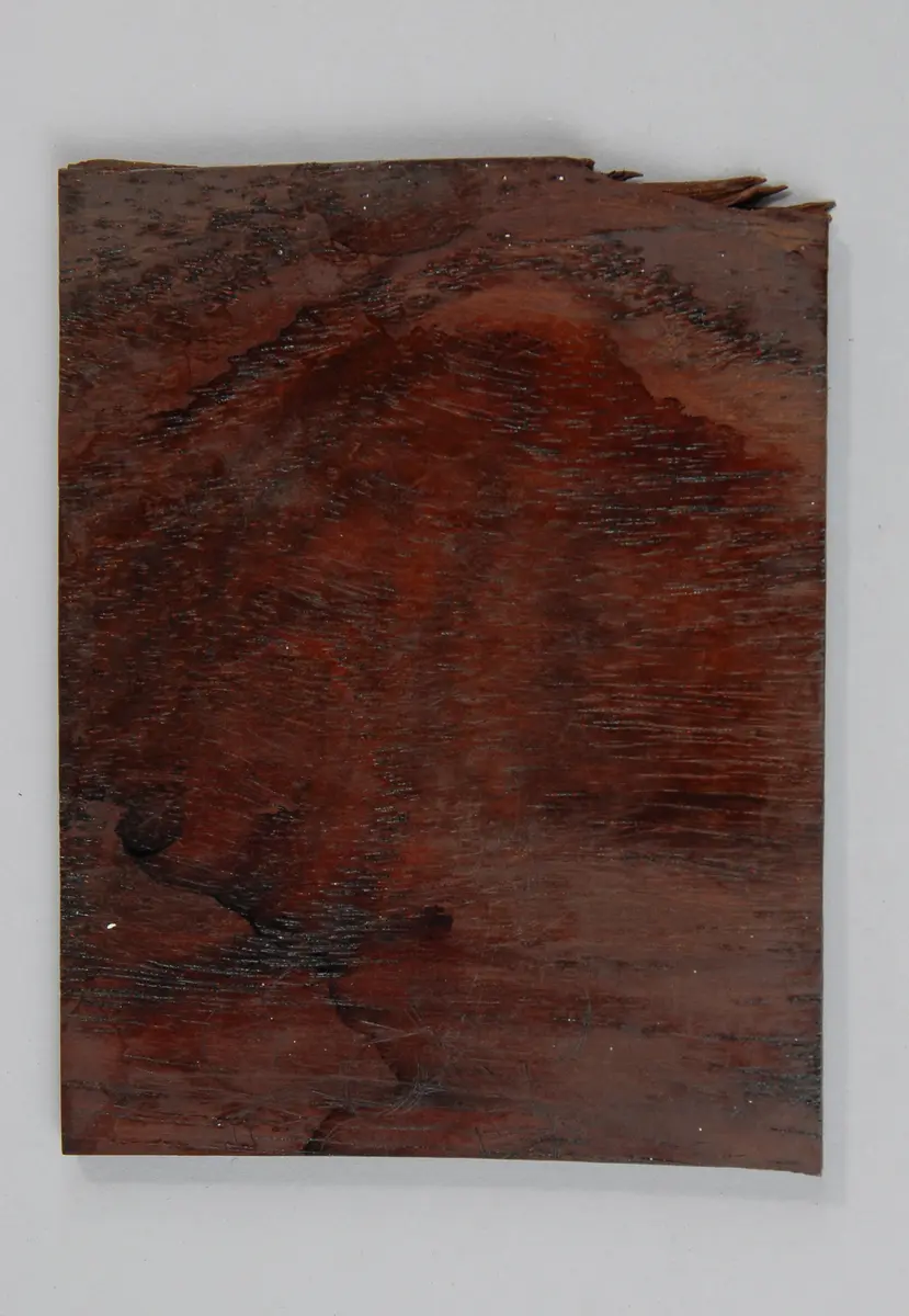 Holzsorte