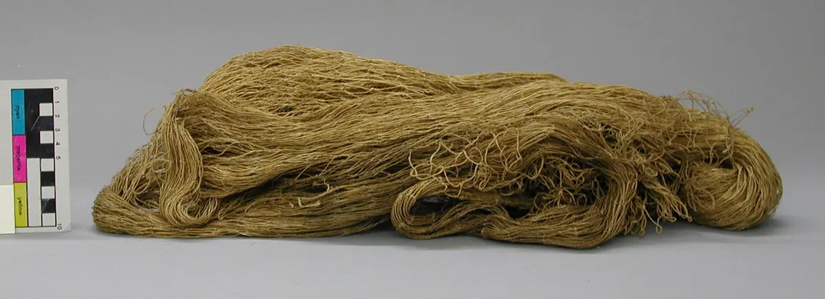 Fischnetz