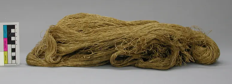 Fischnetz