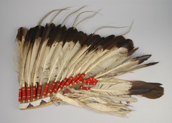 Federkopfschmuck