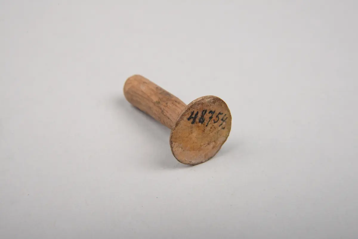 Ohrschmuck für Krieger