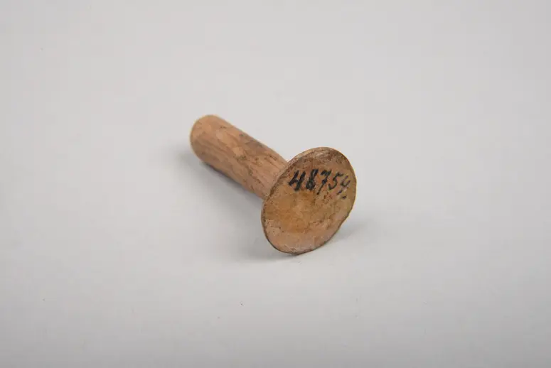 Ohrschmuck für Krieger