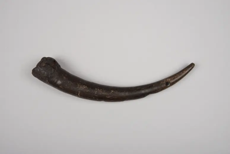 Instrument: Flöte