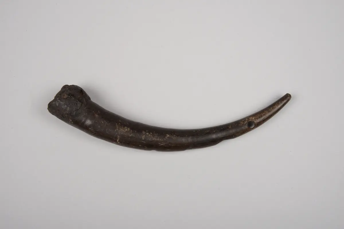 Instrument: Flöte