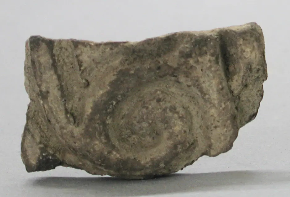 Pottery sherd