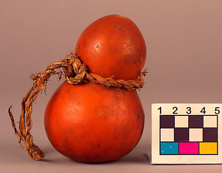 Calabash