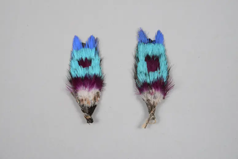 Ohrschmuck