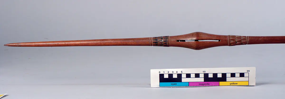 Rattle spear