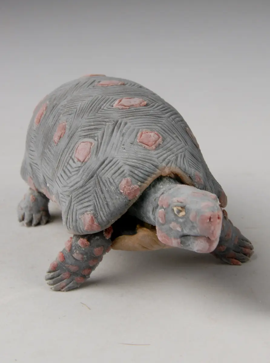 Tortoise figure