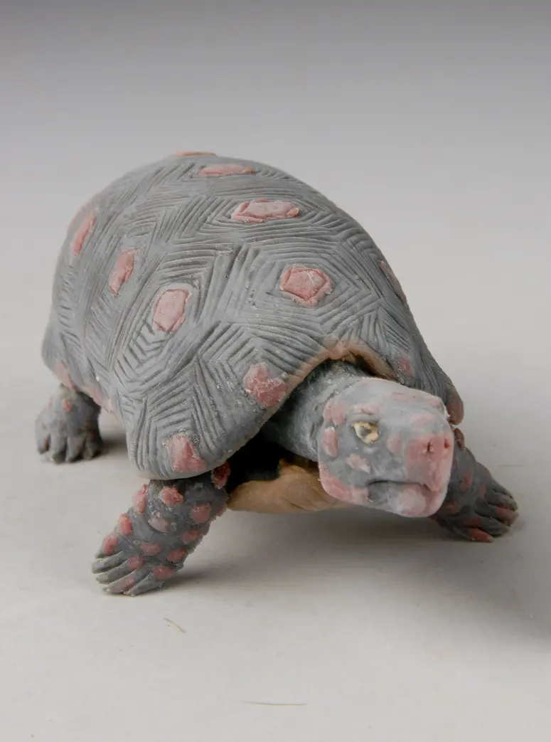 Schildkröte, Figur