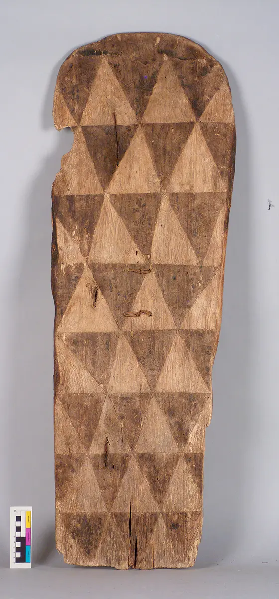 Shield