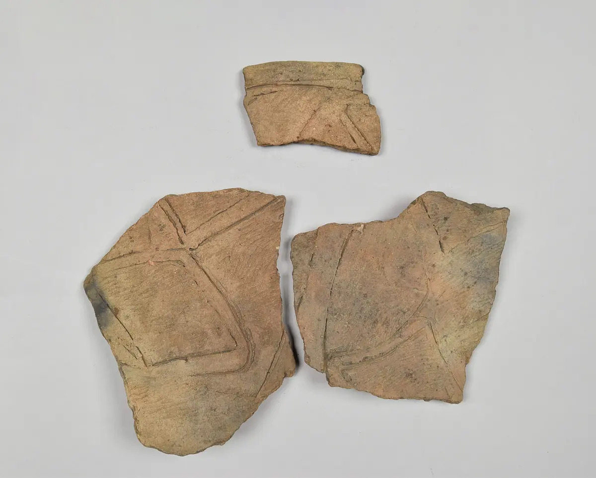 Pottery sherd