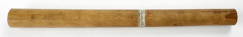 Bamboo