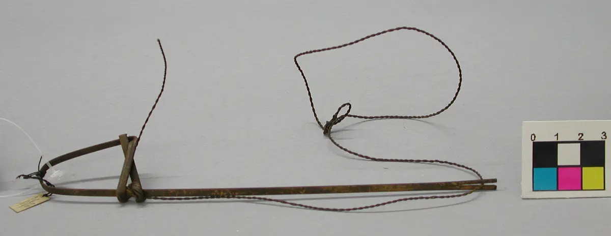 Vogelschlinge