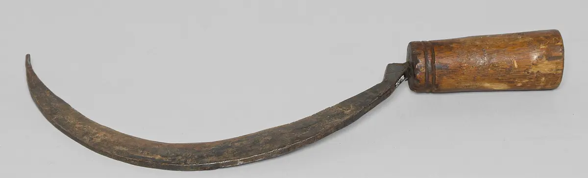 Sichel