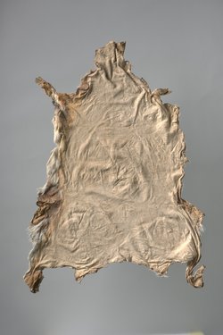 Steinantilopenfell