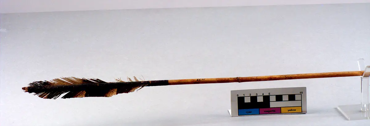 Jagdpfeil