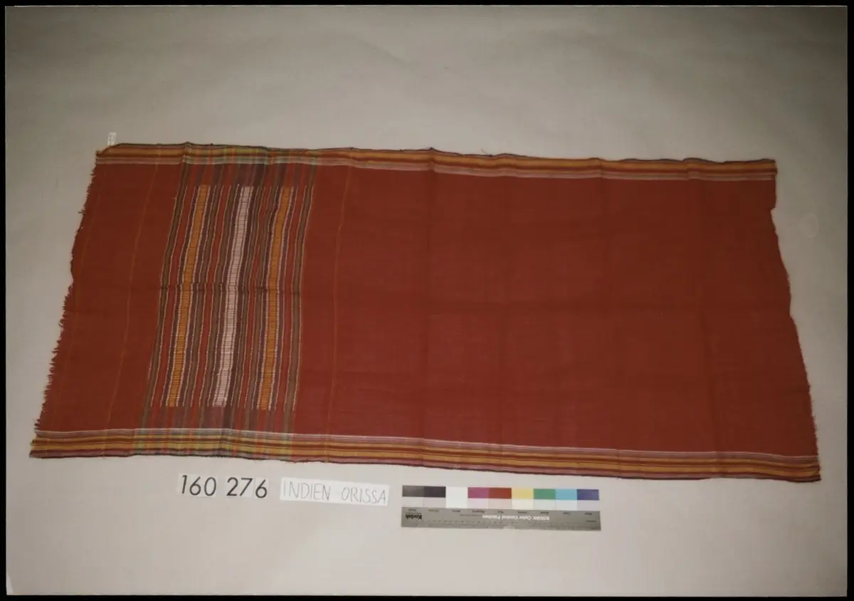 Sari