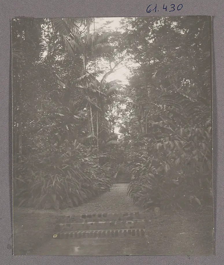 Kandy auf Ceylon