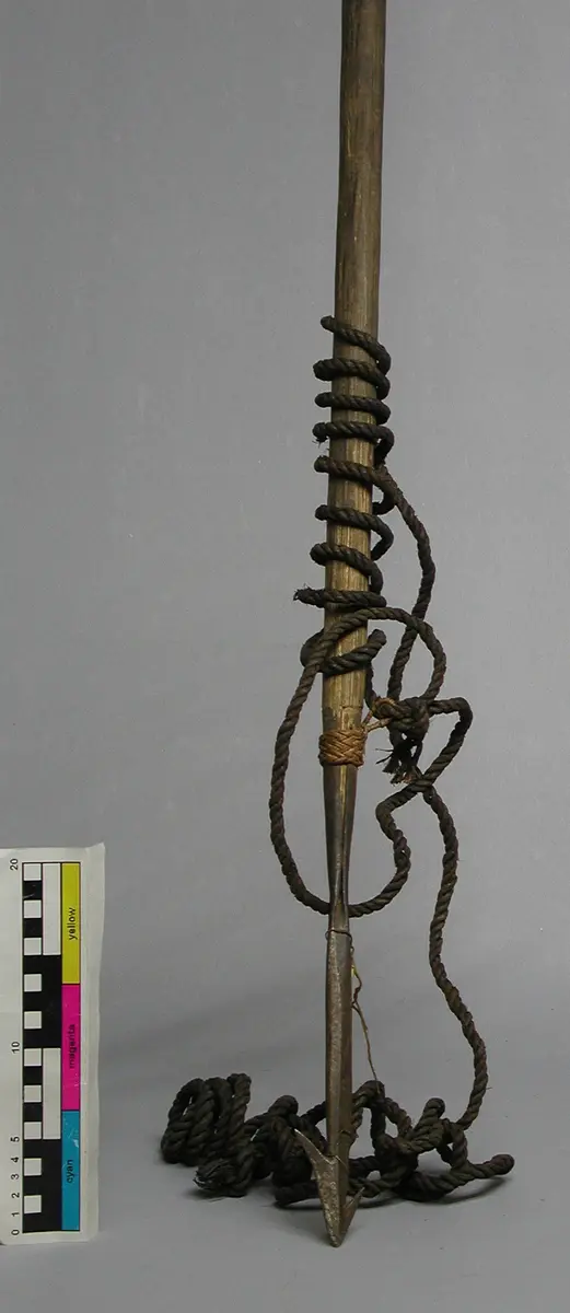 Fischharpune