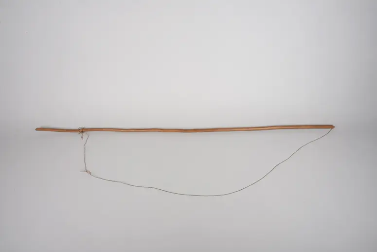 Instrument: Laute (Fehlender Resonanzkörper)