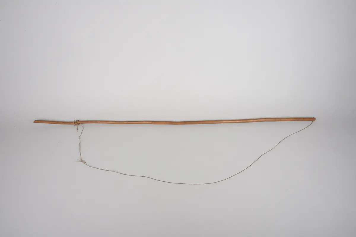 Instrument: Laute (Fehlender Resonanzkörper)